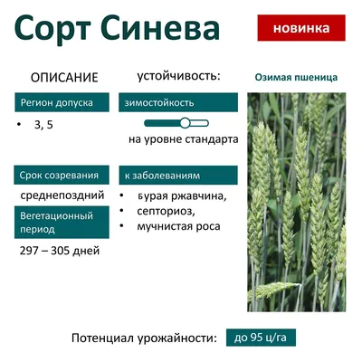 Колония | agroresurs