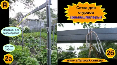 ᐉ Сетка шпалерная AgroStar для огурцов 15х17 см 1,7х500 м (А0049397)