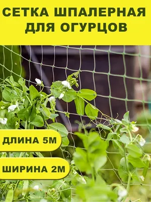 Сетка шпалерная для огурцов 2*10м (квадрат 150*170мм) хаки – купить сетка  шпалерная для огурцов 2*10м (квадрат 150*170мм) хаки в Переславле-Залесском