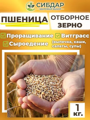 Пшеница Шлифованная – купить в интернет-магазине OZON по низкой цене