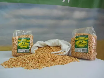Пшеница зерно, Кутья 1 кг (ID#1624895612), цена: 34 ₴, купить на Prom.ua