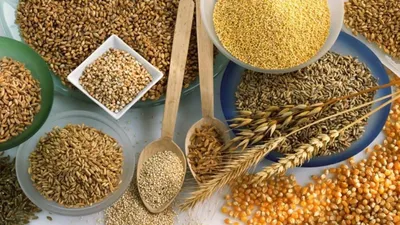 Рецепт кутьи — из перловки, риса и пшеницы — как готовить мак для кутьи / NV