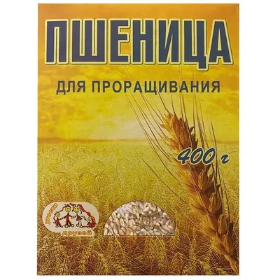 Стоит ли покупать Пшеница свежее зерно в мешке 5кг не шлифованная Эко  продукт для проращивания и пивоварения Алтайская? Отзывы на Яндекс Маркете