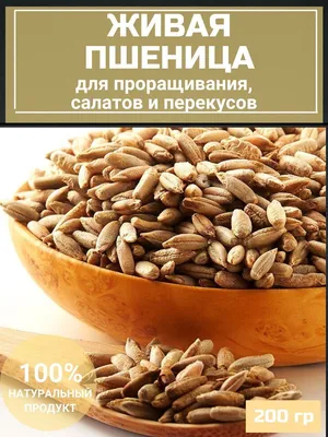 Набор зерна для проращивания: пшеница, рожь, овес голозерный, 3 шт по 500  г, вес набора 1,5 кг - купить с доставкой по выгодным ценам в  интернет-магазине OZON (710863221)