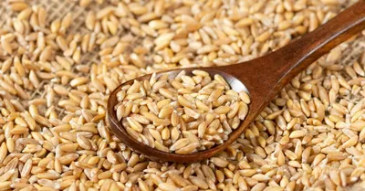 Как варить пшеницу на кутью правильно