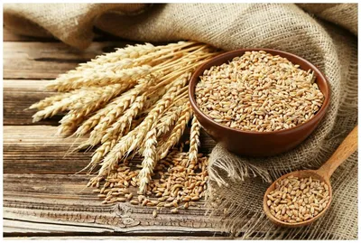 Характеристики модели Пшеница свежее зерно в мешке 20кг не шлифованная Эко  продукт для проращивания и пивоварения — Другие виды круп — Яндекс Маркет
