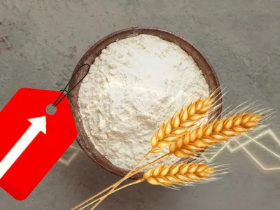 Крупа Образ жизни 250г пшеница отборная для каш и проращивания купить за 56  руб. с доставкой на дом в интернет-магазине «Palladi» в Южно-Сахалинске