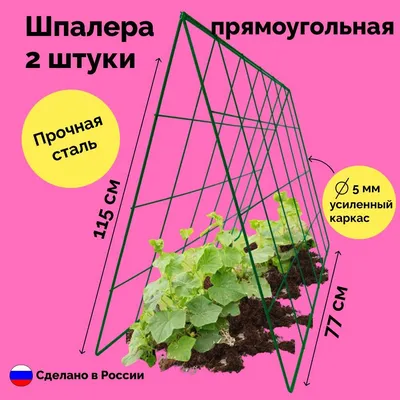 Стационарные шпалеры в открытом грунте для огурцов, томатов, фасоли |  уДачный проект | Дзен