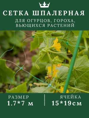 Шпалерная сетка пластиковая садовая для вьющихся растений огурцов гороха  винограда 1.7*7 м ячейка 15*19 см - купить по выгодной цене в  интернет-магазине OZON (528605509)