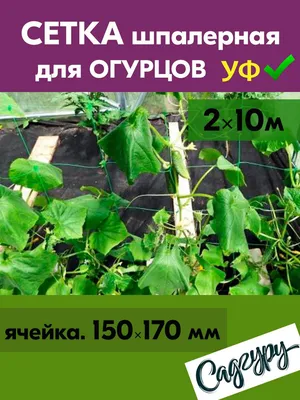 Сетка шпалерная для огурцов 15*17см 2х10м ЗЕЛЕНАЯ подвязка для клематисов,  гороха, вьющихся растений, для беседки, теплицы, грядок, пл. 12г/м2 -  купить с доставкой по выгодным ценам в интернет-магазине OZON (852205611)