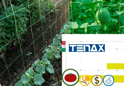 Шпалерная сетка — Купить Шпалерные сетки от поставщика в Украине