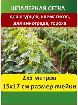 Шпалерная сетка для огурцов Протэкт 91921467 купить за 53 400 сум в  интернет-магазине Wildberries