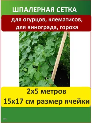 Шпалерная сетка для огурцов Протэкт 91921467 купить за 53 400 сум в  интернет-магазине Wildberries