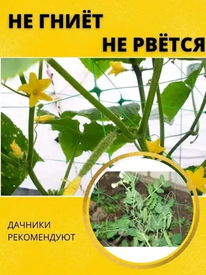 Шпалера защита для растений Сетка шпалерная сетка для огурцов шпалерная  сетка