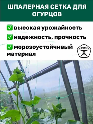 Сетка шпалерная для огурцов 2 х 5м, для клематисов, гороха, вьющихся  растений, цветов — купить в интернет-магазине по низкой цене на Яндекс  Маркете