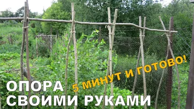 Купить Сетка из полиэстера для садоводства, сетка для обхода растений,  люфа, держатель для выращивания огурцов, виноградной лозы, фермерская сеть  | Joom