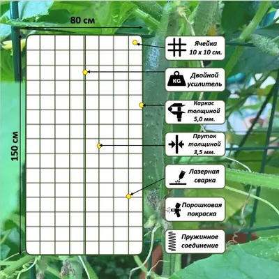 Выращивание огурцов на шпалере в открытом грунте, как подвязать к  конструкции