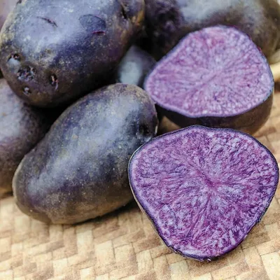 Картошка фиолетовая(Синяя,Витело́т,Негритянка ) 5кг: 200 грн. - Продукти  харчування / напої Золотоноша на Olx