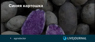 Белатом. Новости атомной энергетики