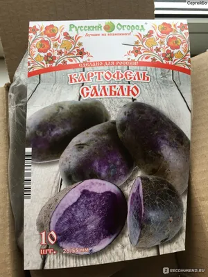 Все о фиолетовом картофеле - полезные статьи о садоводстве от Agro-Market