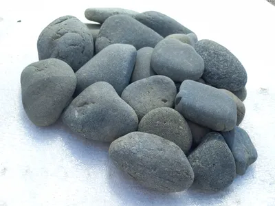 Картофель Салблю (Solanum tuberosum Salblue) - «Паслён туберозный  соломенно-голубой, а по нашему просто фиолетовая картошка 😁 Цвет  бомбический, но на вкус обычная картоха! » | отзывы