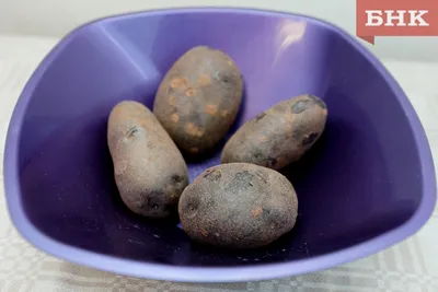 Жареная фиолетовая картошка – Вся Соль - кулинарный блог Ольги Баклановой