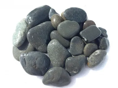 Картошка Vitelotte сине-фиолетовая (ajanhuiri Vitelotte Solanum X Noir  Стоковое Изображение - изображение насчитывающей франция, съестно: 42923813
