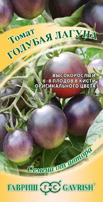 Вид сверху зелень и овощи, как помидоры в корзине слева и синий фон с  пространством для копирования Стоковое Фото - изображение насчитывающей  корзины, рынок: 190216876