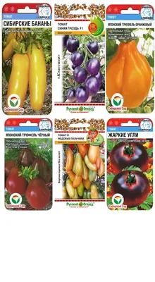Богданов Виталий on X: \"синие #помидоры 🍅 #томаты #херсон #kherson  #этоХерсон #цеХерсон https://t.co/u6W6ysjwGZ\" / X
