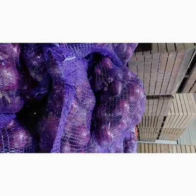 Пиала фарфоровая чехия натали синий лук 14,5 см – купить в Украине | ТОП  пиалы на Vip Posuda