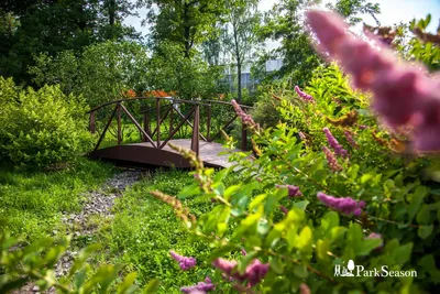 Сиреневый Сад в Москве – OrchidDream