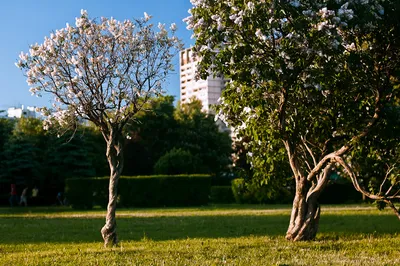 Агентство городских новостей «Москва» - Фотобанк