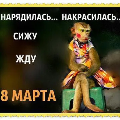 Настроение предпраздничное. 8 марта. | Любаня | Дзен
