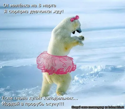 Купить угандийский кофе Уганда Сипи Фоллз в Москве с доставкой | Заказать  кофе из Уганды в Москве в интернет магазине Torrefacto