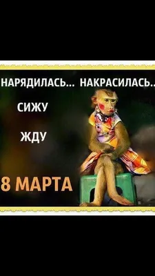 Жизнь.Красивая и ...РАЗ-НА-Я!!! | Забавные фото, Веселые картинки, Смешные  высказывания