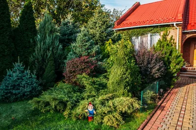 волшебный сказочный сад с аркой и лестничной лестницей Иллюстрация штока -  иллюстрации насчитывающей тайна, сказово: 274971691
