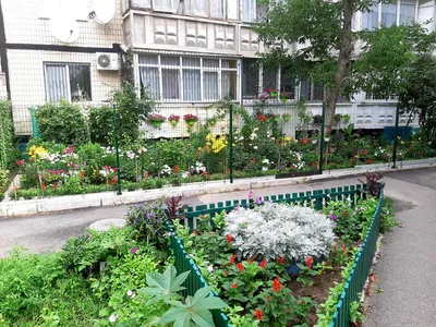Купить Рисунок Мосс Орнамент Сказочный Сад Кукольный Домик Декор  Мини-Дерево Бонсай Украшение Микро Растение | Joom