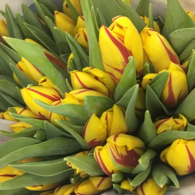 Скоро 8 Марта ✨🌷🌷🌷 Число 8 и …» — создано в Шедевруме