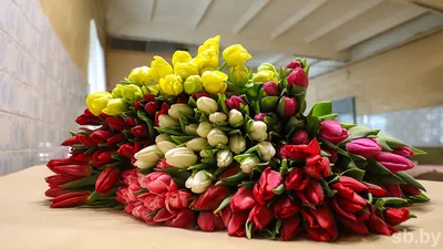 https://m.vk.com/wall-1236_30574