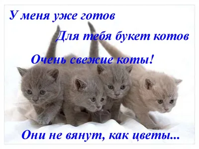 Скоро 8 марта, начинаем намекать! - YouTube
