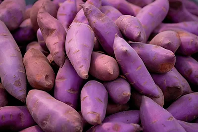 Бесплатное изображение: картофель, картофель, сладкий картофель, продукты,  фрукты, питание, Здравоохранение, расти