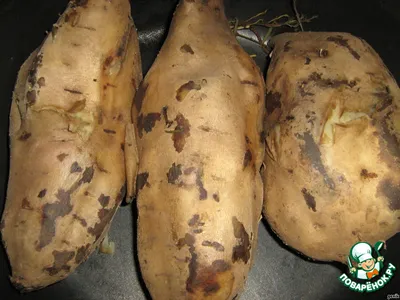 Сладкий картофель батат - купить у поставщика HARVEST GROUP Ltd