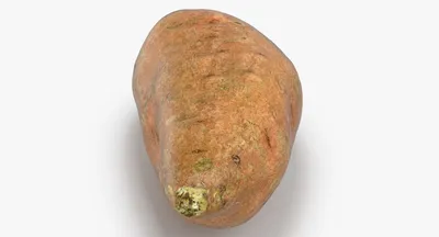 Raw сладкий картофель на органическом батате наши доски. Овощи фермы. Серый  фон Стоковое Изображение - изображение насчитывающей здорово, группа:  177986191