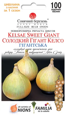 Лук-шалот Банановый Деликатес (10 луковиц) САМЫЙ СЛАДКИЙ из всего лукового  семейства! | Дачная Коллекция