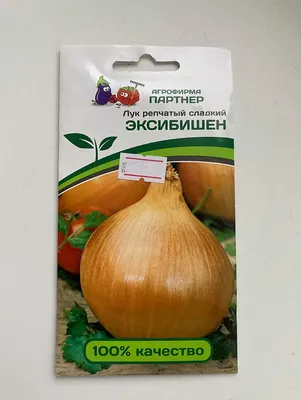 Сладкий лук фото фото