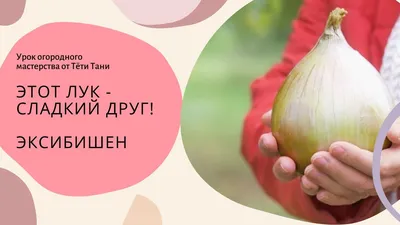 Крымский сладкий - лук репчатый, 10 000 семян, Nasko Украина