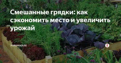 Школа ландшафтного дизайна. Урок семнадцатый: огород