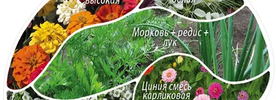 Смешные посадки