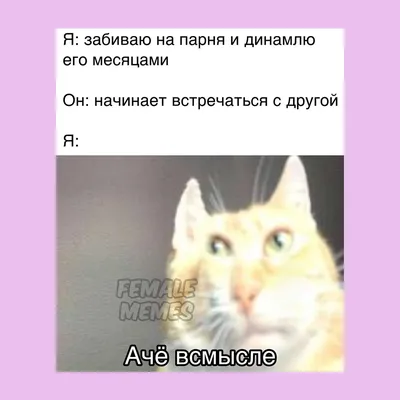 смешные видео с 8 марта поздравления｜Поиск в TikTok