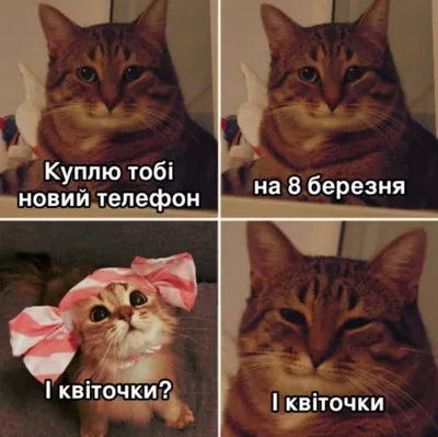 Анекдоты про 8 марта: Шутки, мемы и фотожабы в честь Международного  женского дня